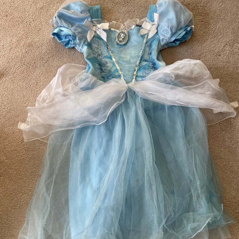 Cinderella and Rapunzul dress up dresses